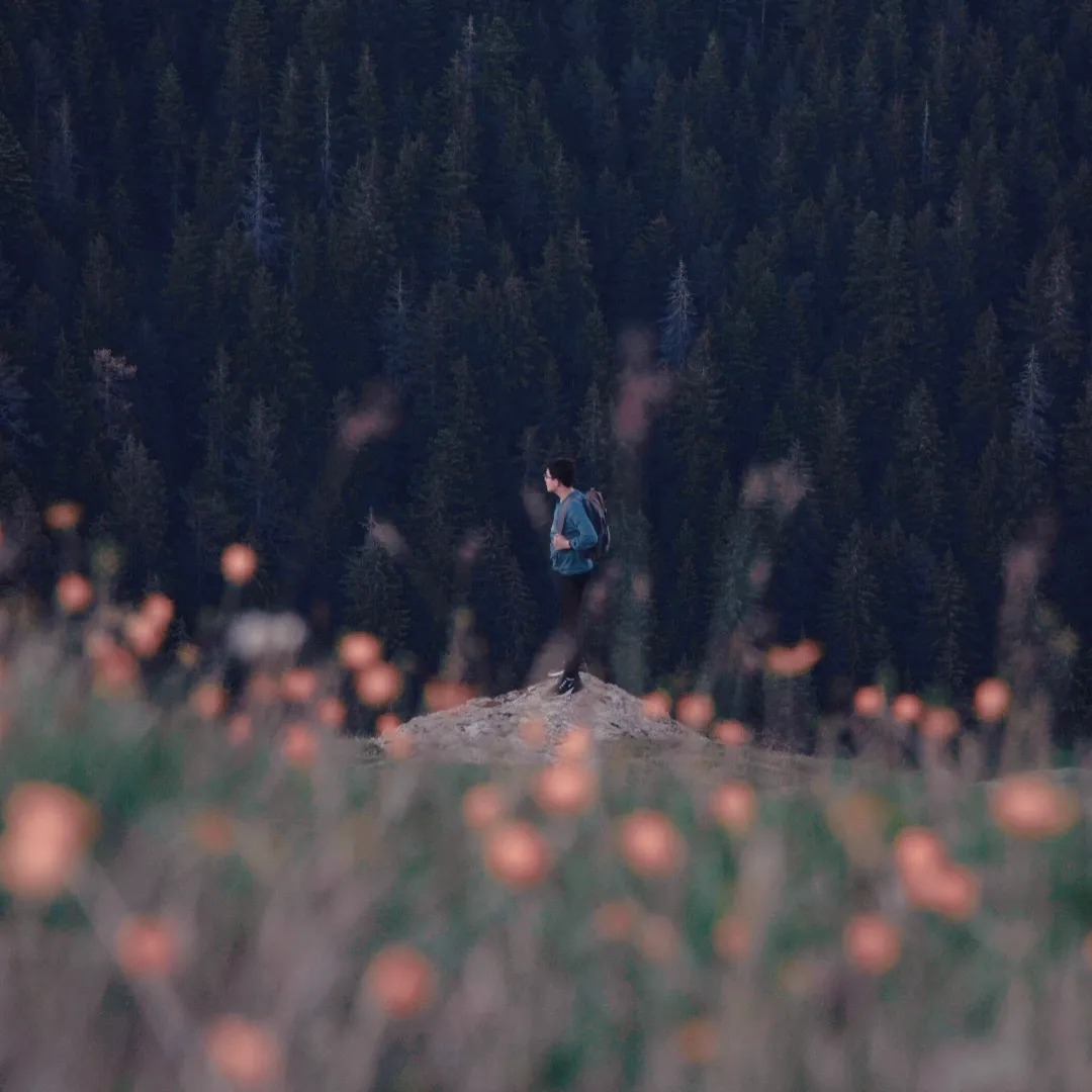 Nature humaine